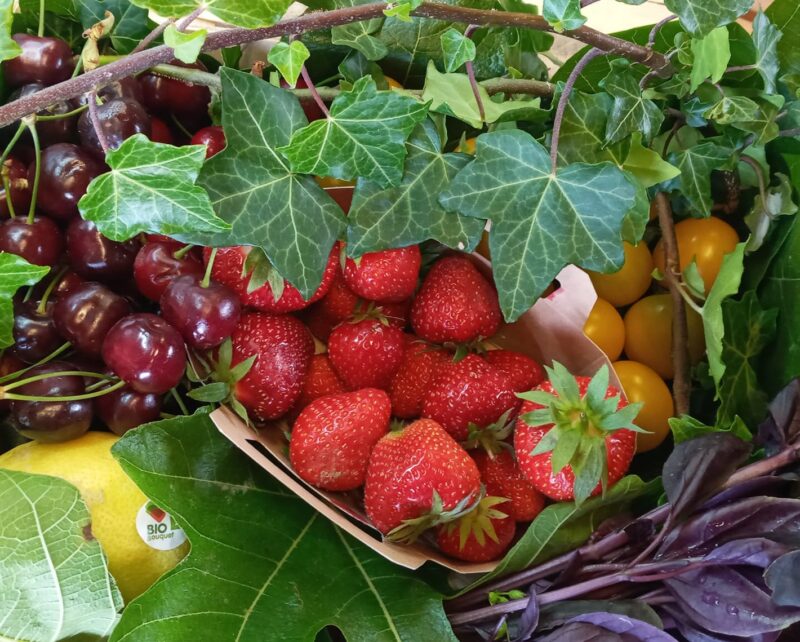 panier fruits jardins de vartan